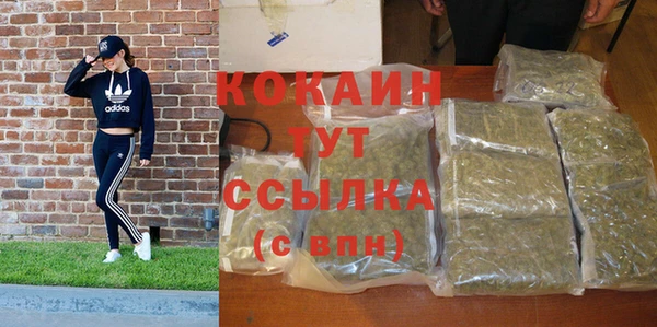 прущие крисы Киров
