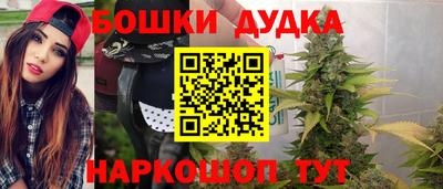 крисы Апшеронск