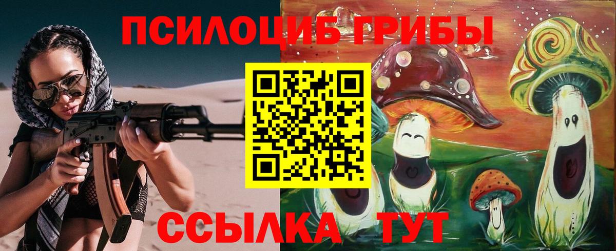 Галлюциногенные грибы Psilocybe  Тейково 