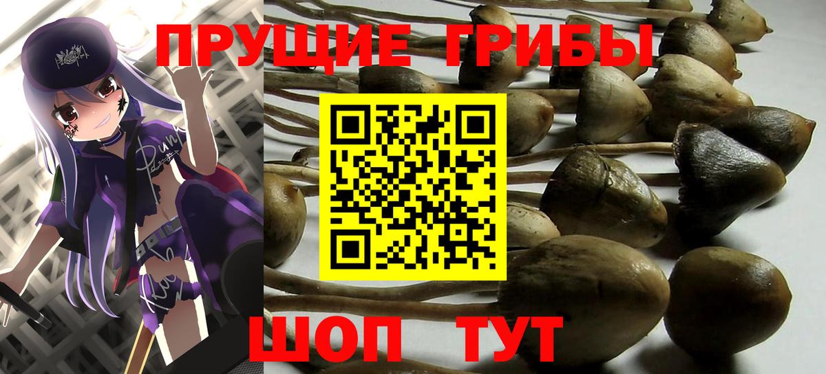 как найти закладки  Галлюциногенные грибы прущие грибы  Вход с VPN  Тейково  Галлюциногенные грибы Cubensis 