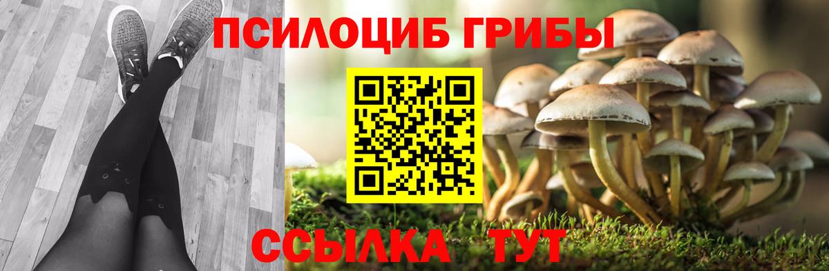 Псилоцибиновые грибы прущие грибы Тейково